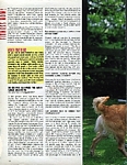 "FITNESS NOW" 2a - U.K. Cosmo by Richard Dunkley