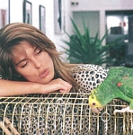 N.Y. apartment with Wolfie - ital. AMICA 28.05.87 by Robert Maass