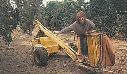 ital. ANNA 22. June 1989 - on fruit picking lift